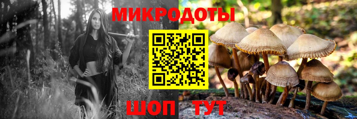 Галлюциногенные грибы MAGIC MUSHROOMS  купить  сайты  Касимов  Вход с VPN  Галлюциногенные грибы прущие грибы 